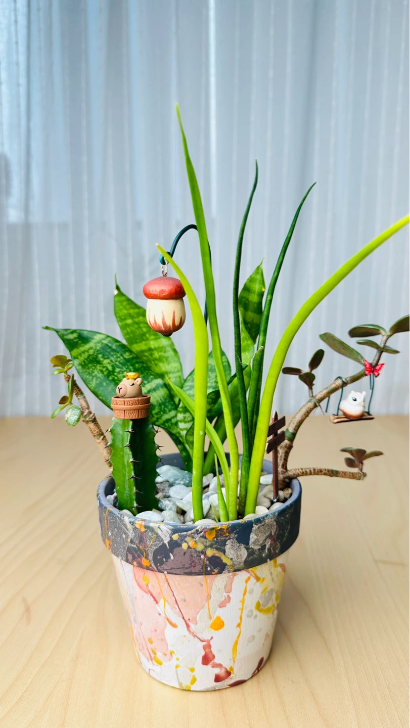 Handmade Pot & Super Low maintenance plants