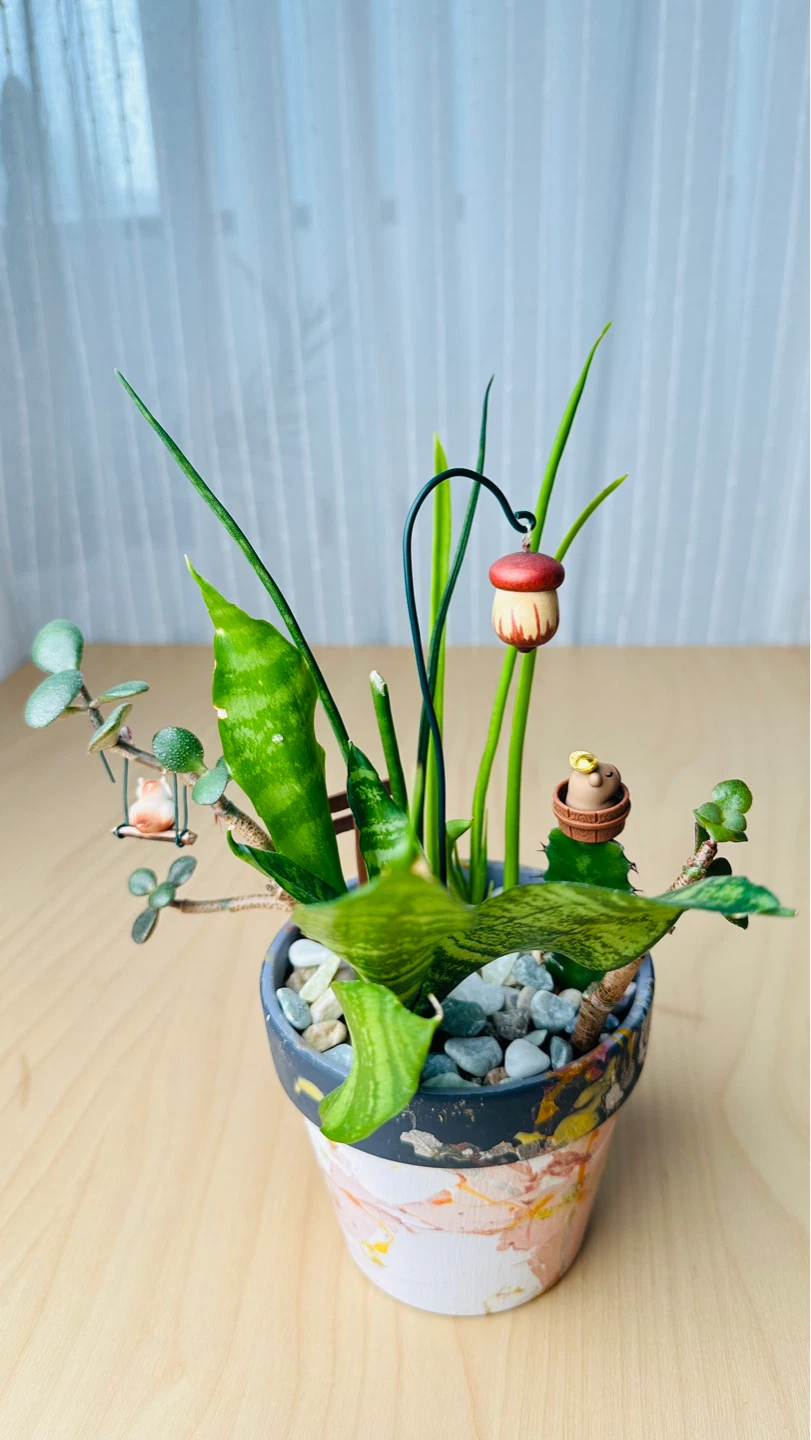 Handmade Pot & Super Low maintenance plants - photo 5