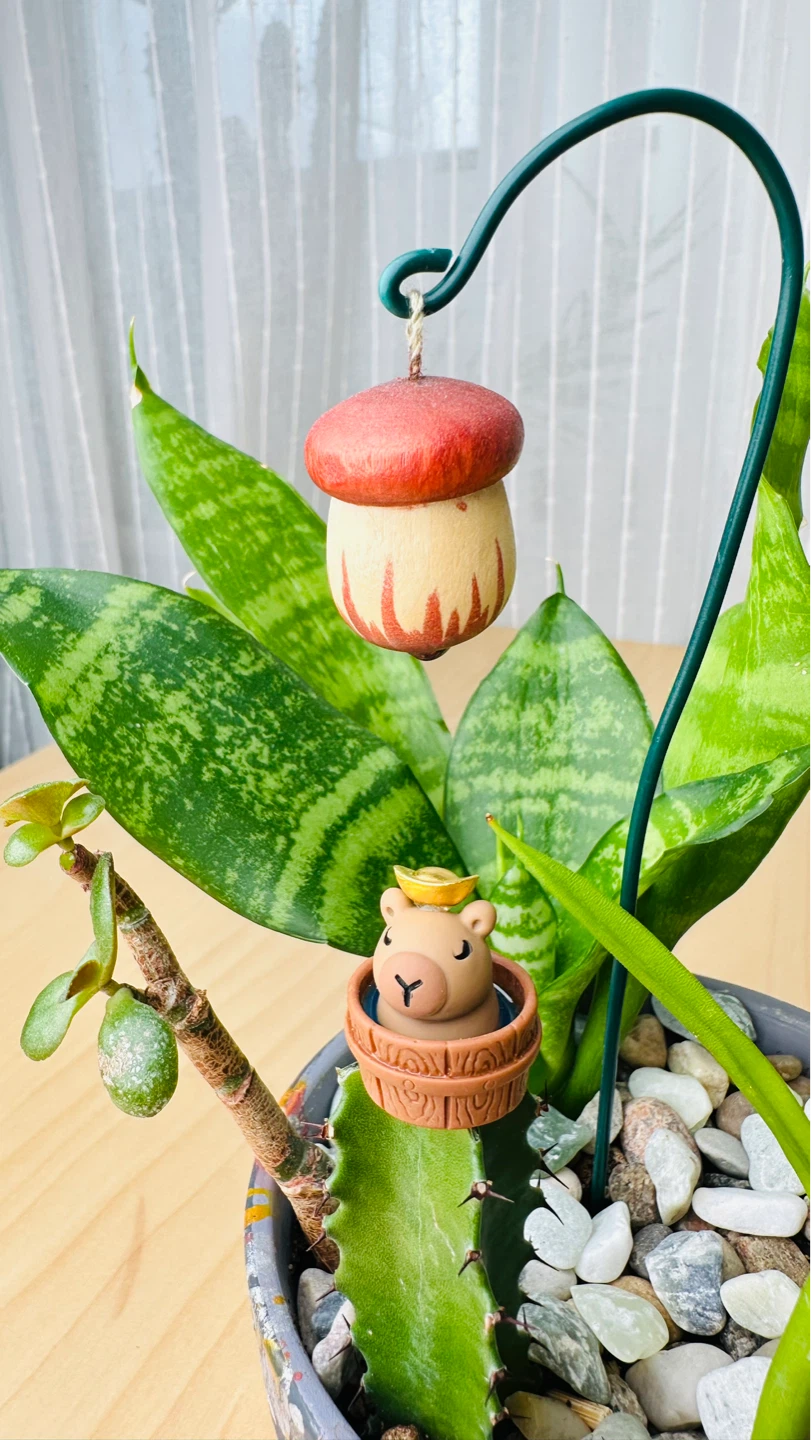Handmade Pot & Super Low maintenance plants - photo 4