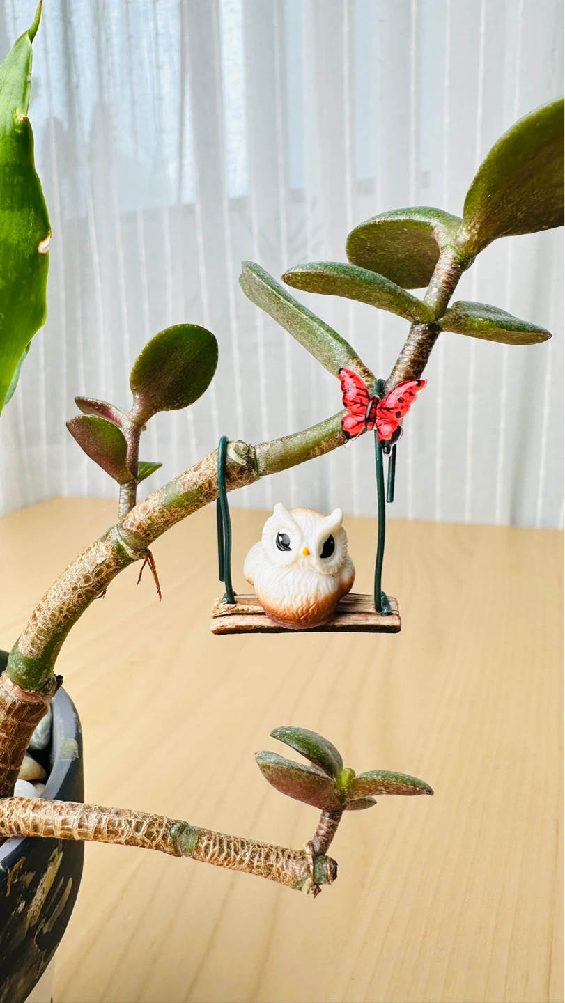 Handmade Pot & Super Low maintenance plants - photo 2