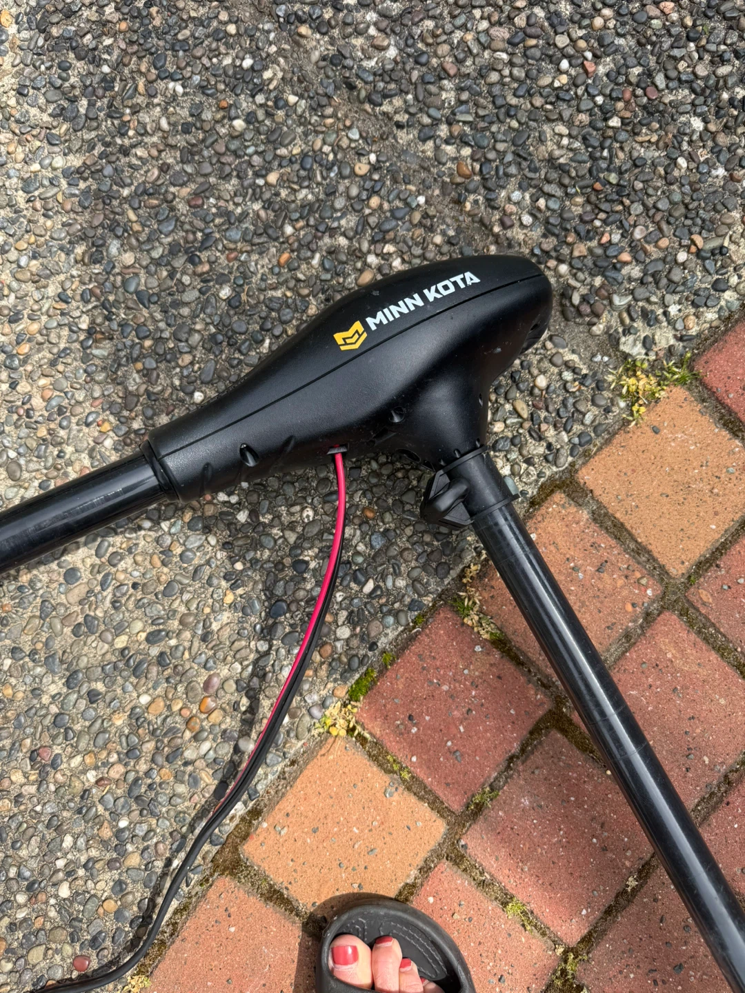 Minn Kota Endura 30 LBS Thrust Trolling Motor