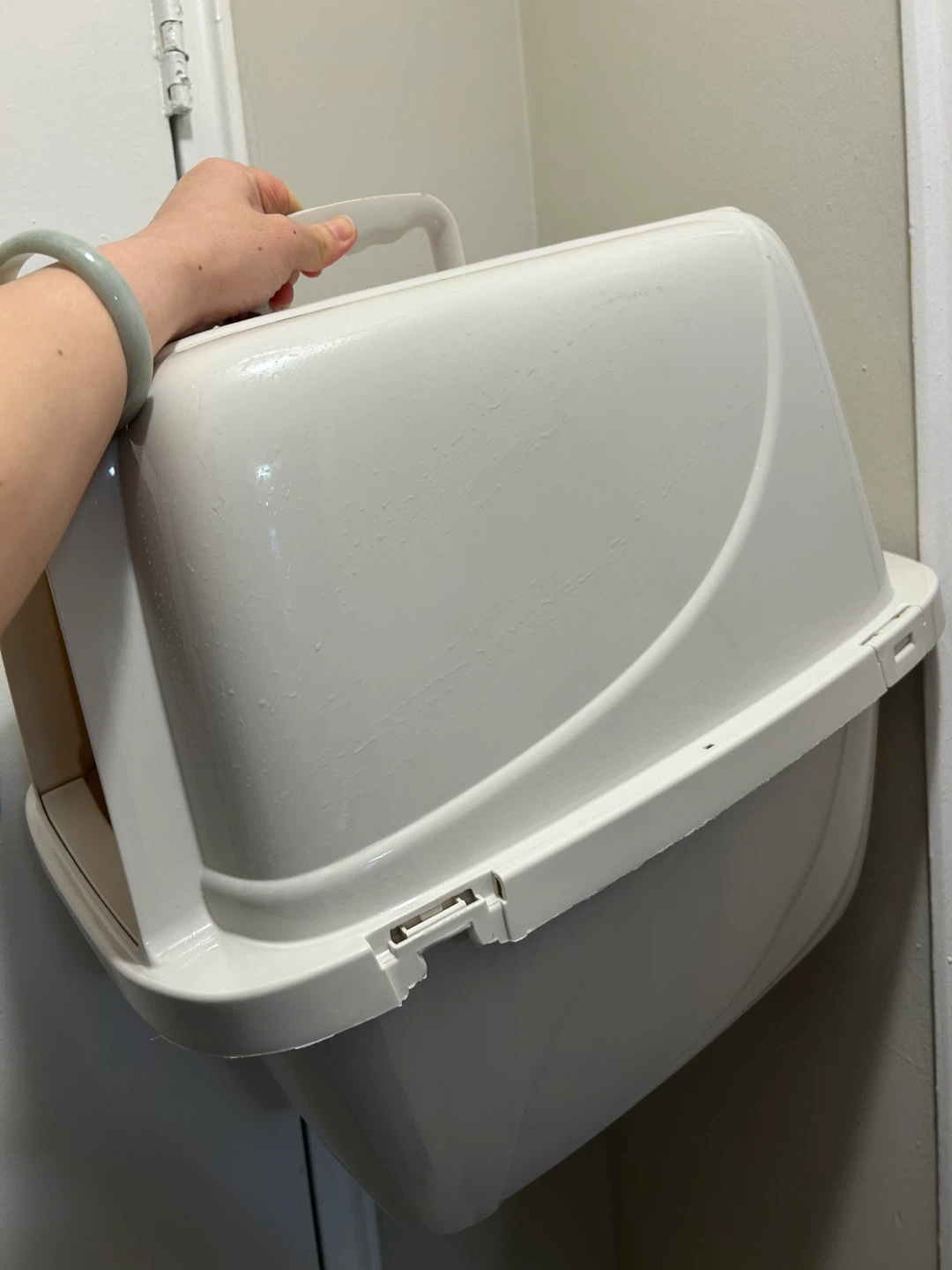 Covered Cat Litter Box (Flaw & Missing Flap) - Off-White - photo 4