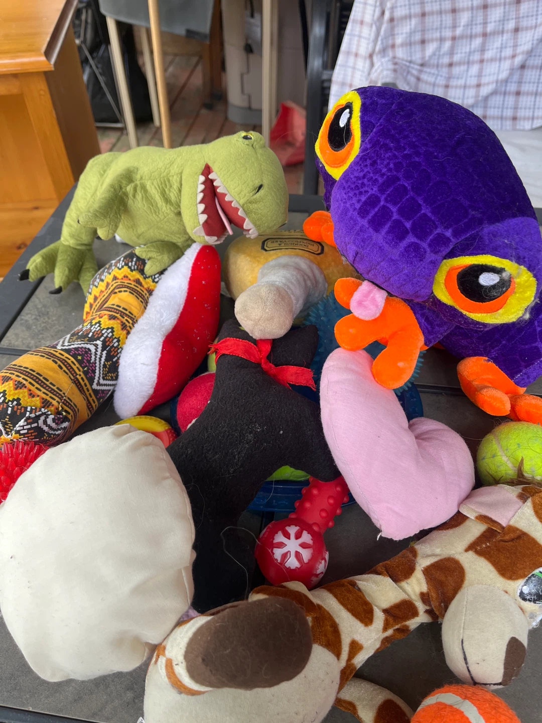 Assorted Dog Toys