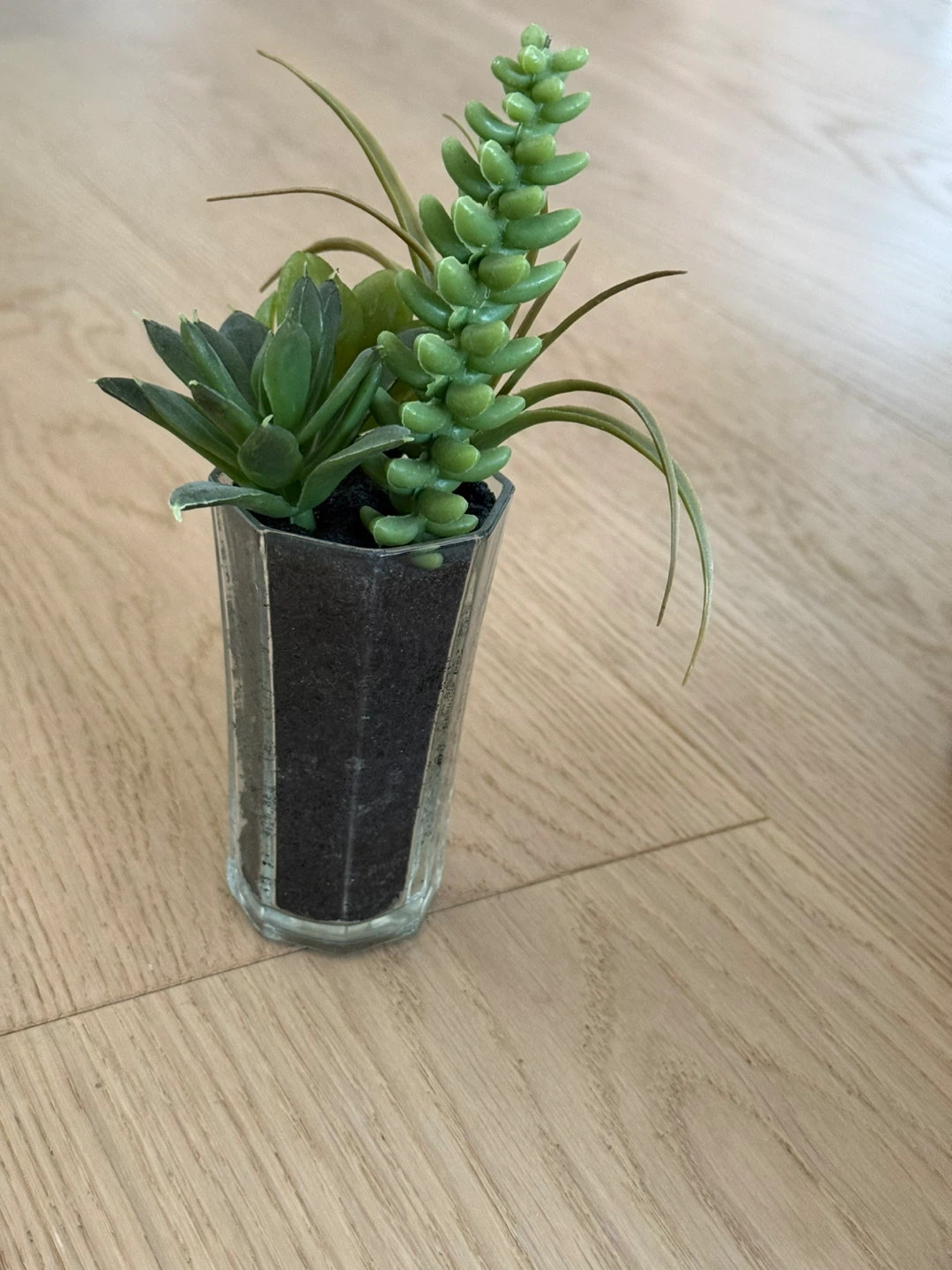 Artificial Succulent Plants in Decorative Pots - photo 2
