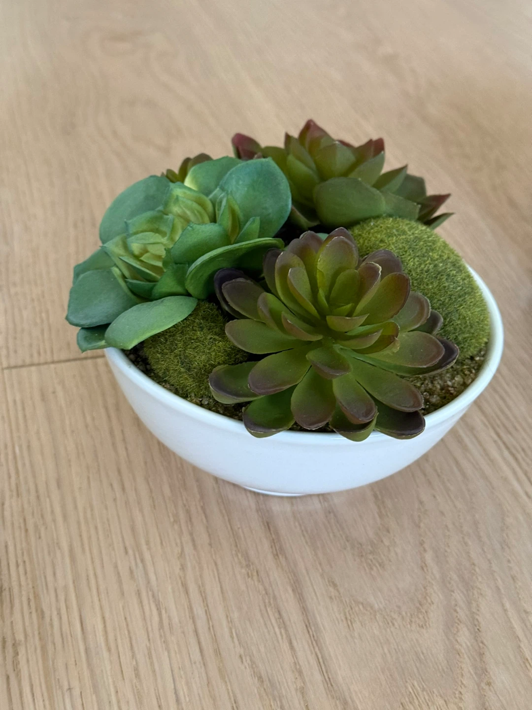 Artificial Succulent Plants in Decorative Pots - photo 4