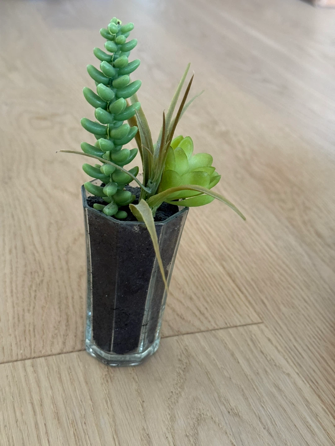Artificial Succulent Plants in Decorative Pots - photo 3