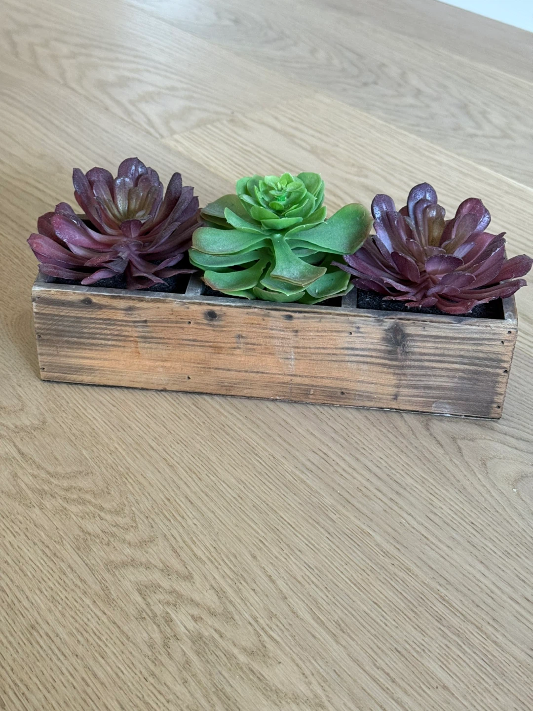 Artificial Succulent Plants in Decorative Pots - photo 5