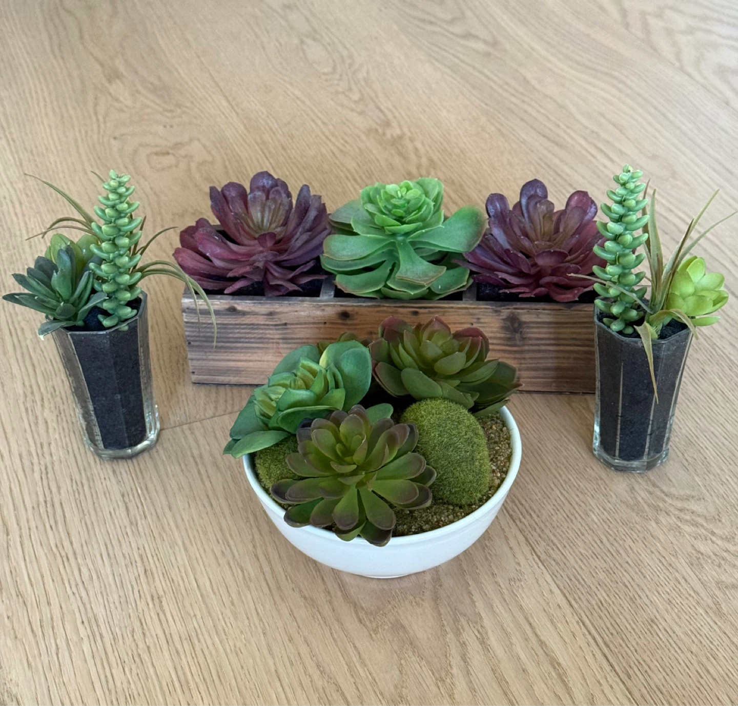 Artificial Succulent Plants in Decorative Pots