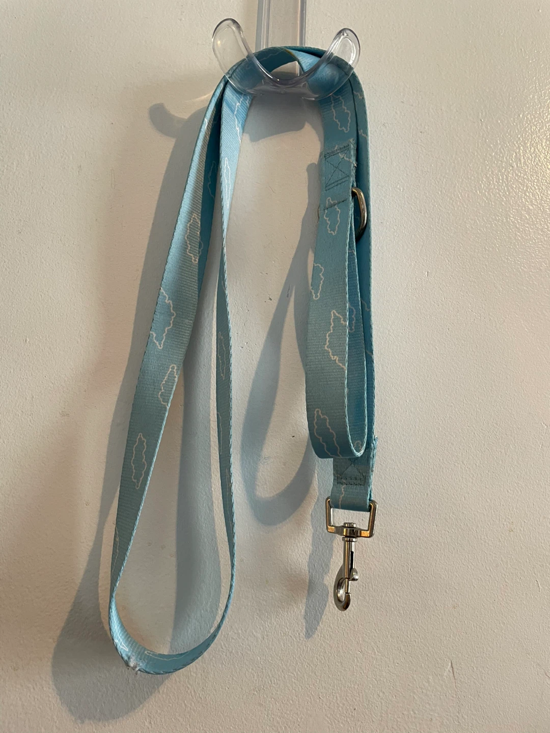 Dog Leash