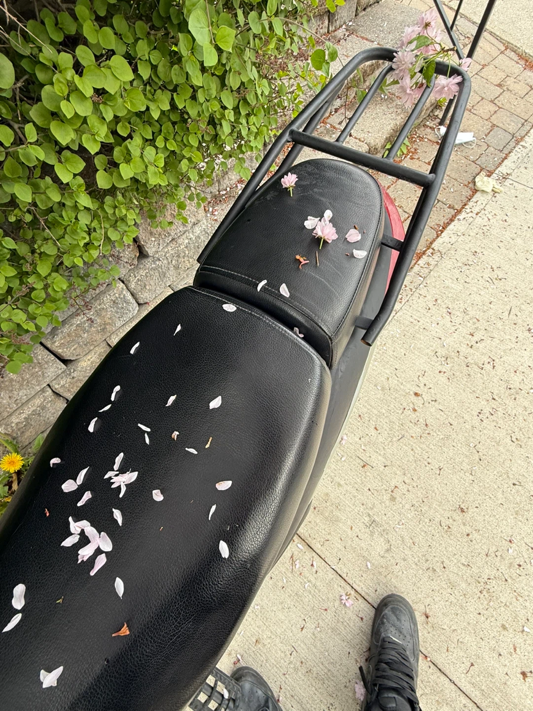 Amego E-Breeze Electric Scooter - photo 5