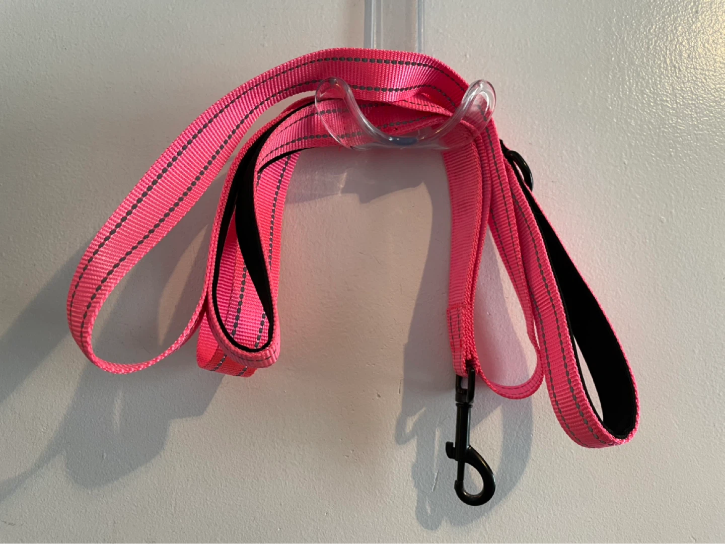 Dog Leash Hot Pink