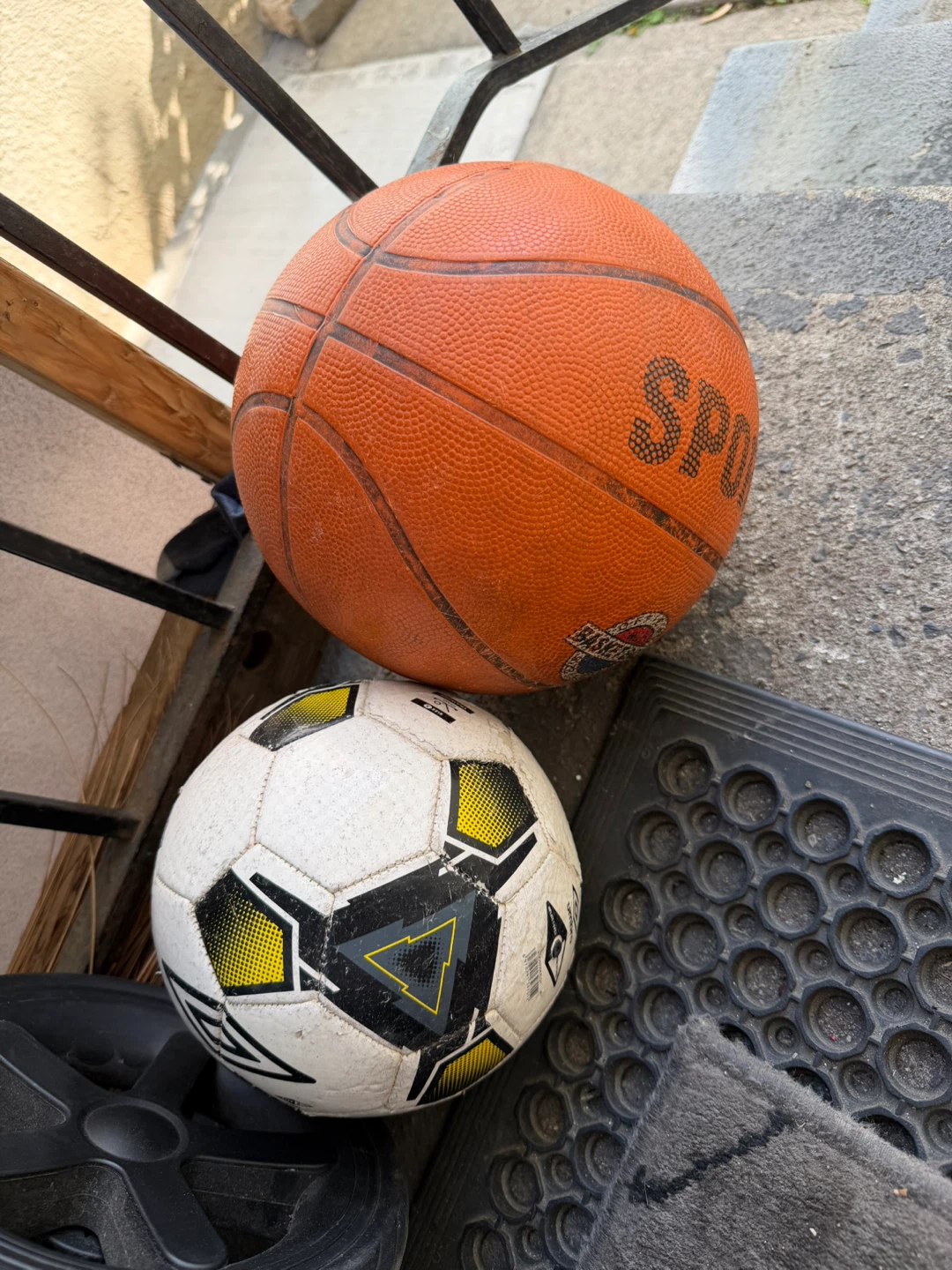 Wilson Basketball and soccer ball