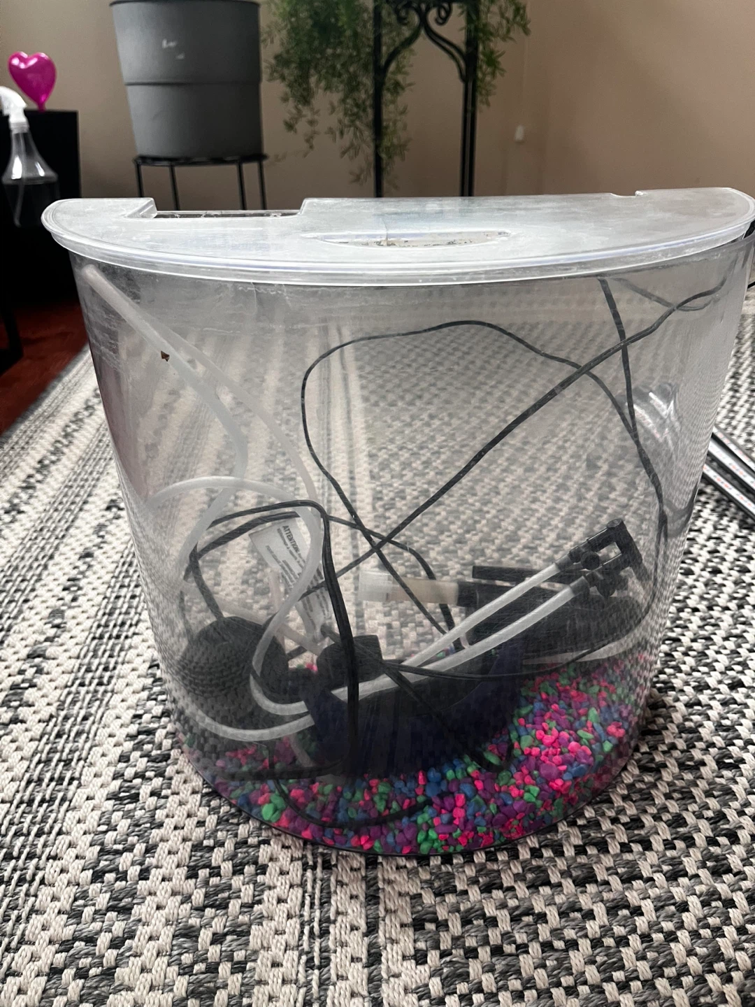 Small Aquarium Tank with Accessories
