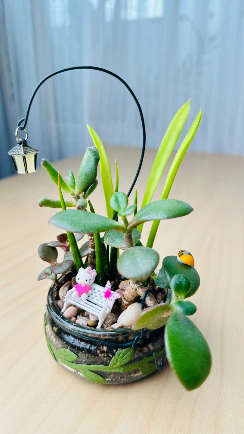 Cute Plants