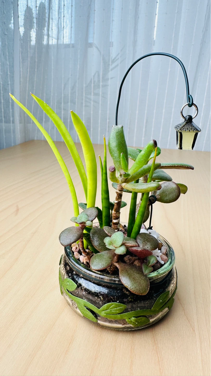 Cute Plants - photo 4