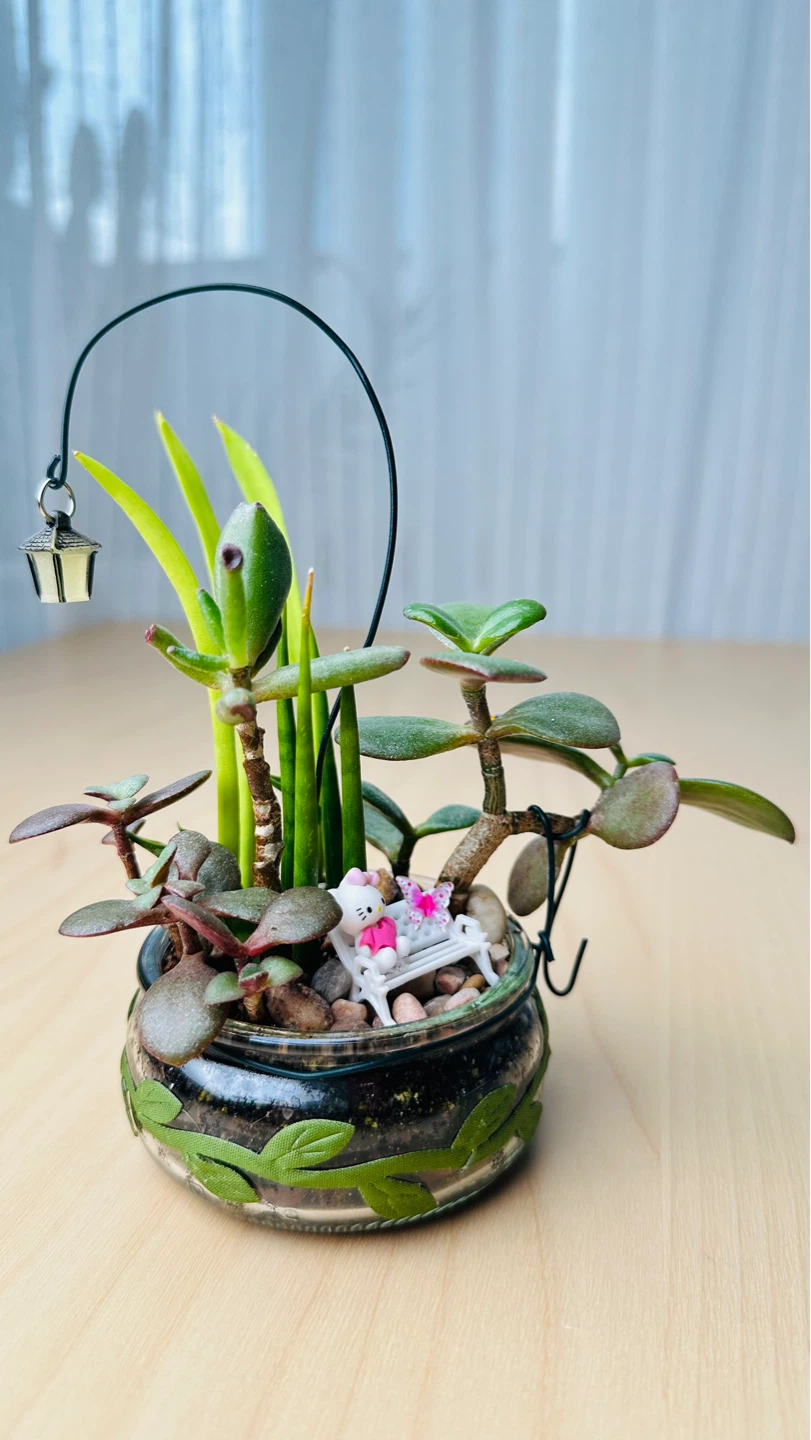 Cute Plants - photo 5