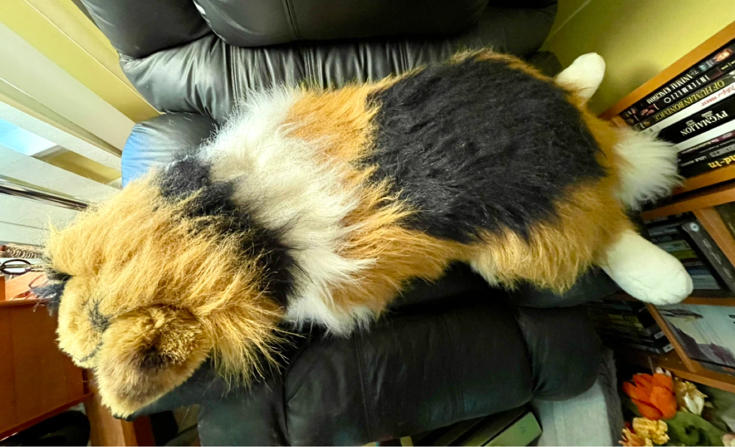 Large Collie Dog Plush Toy - photo 4