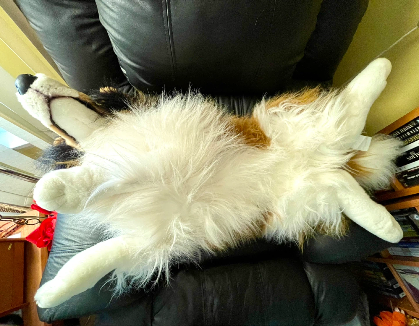 Large Collie Dog Plush Toy - photo 5