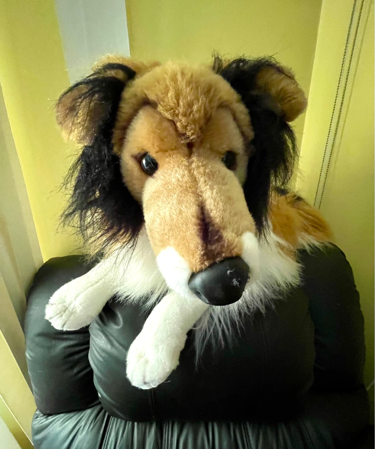 Large Collie Dog Plush Toy
