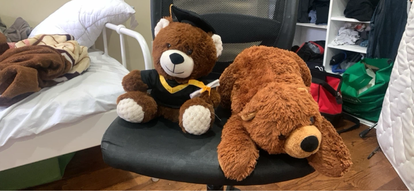 Brown graduation teddy bear and soft brown bear