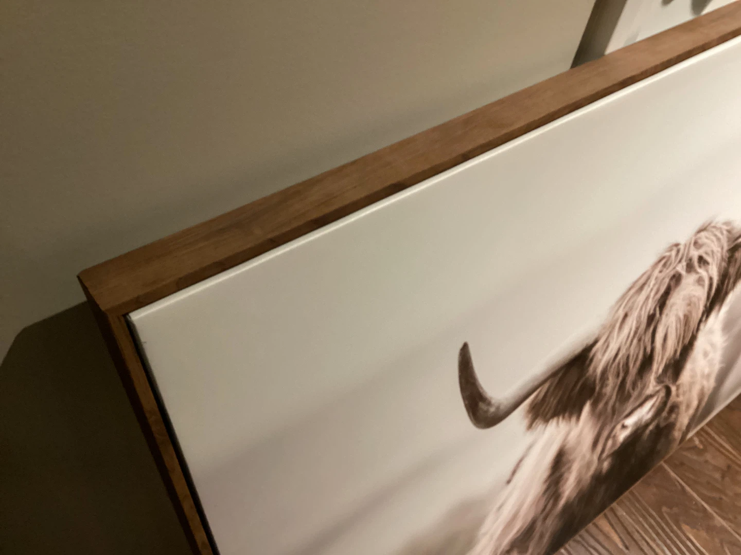 Framed Highland Cow Wall Art Print