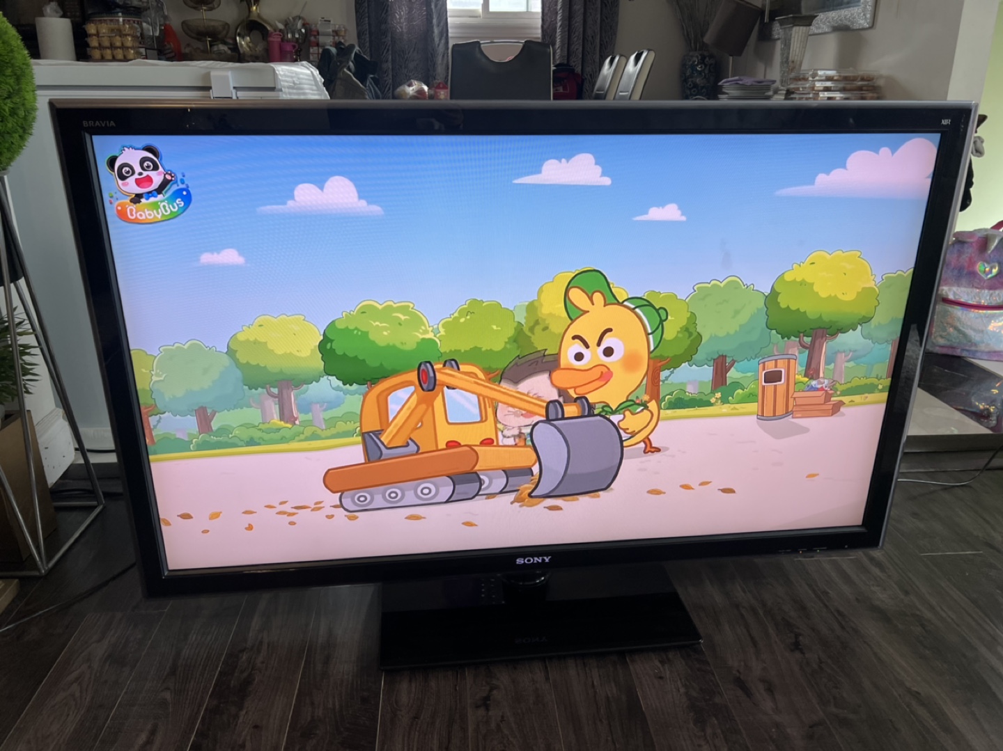 Sony BRAVIA TV