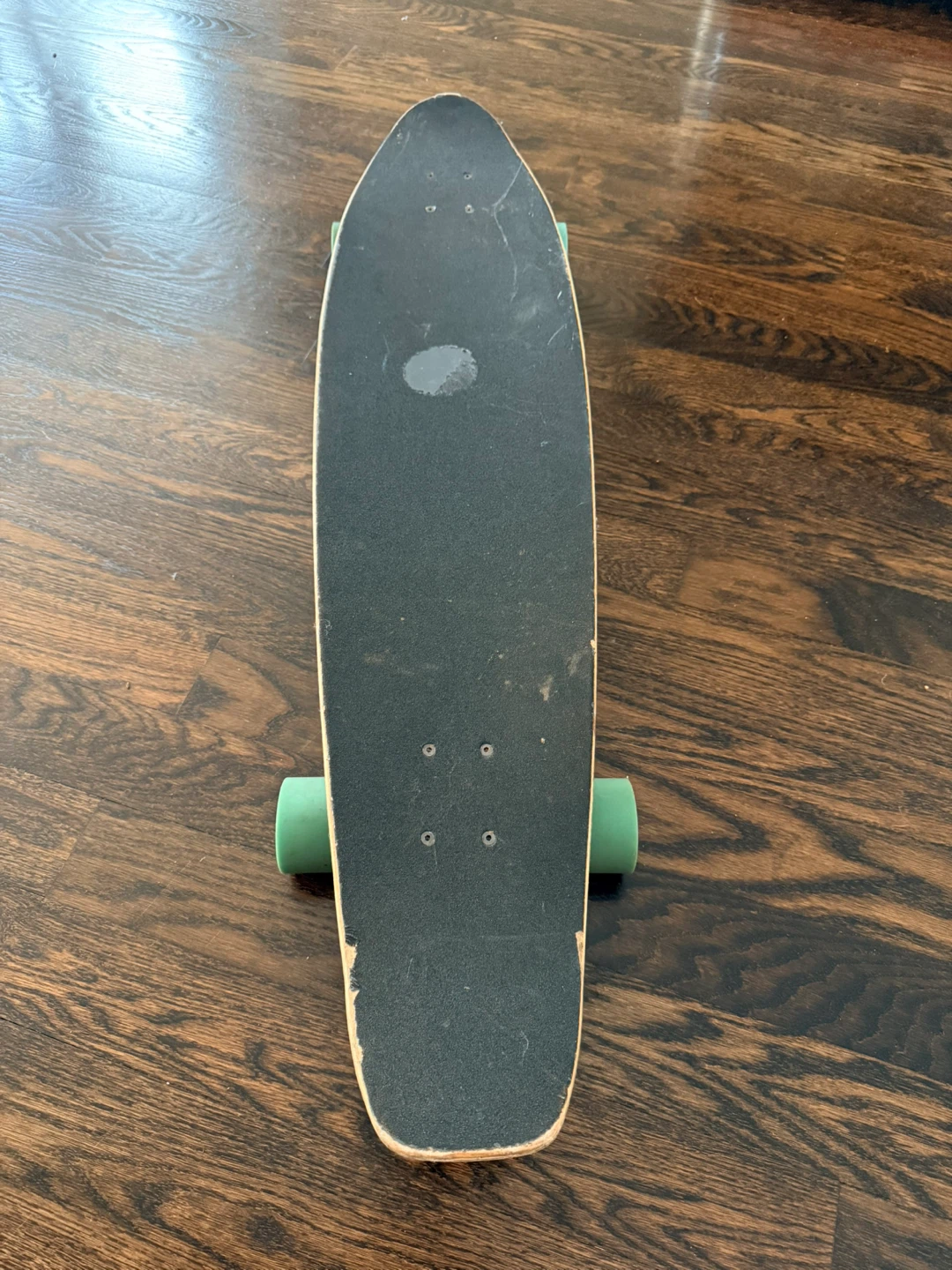 Cruiser Skateboard with Teal Wheels