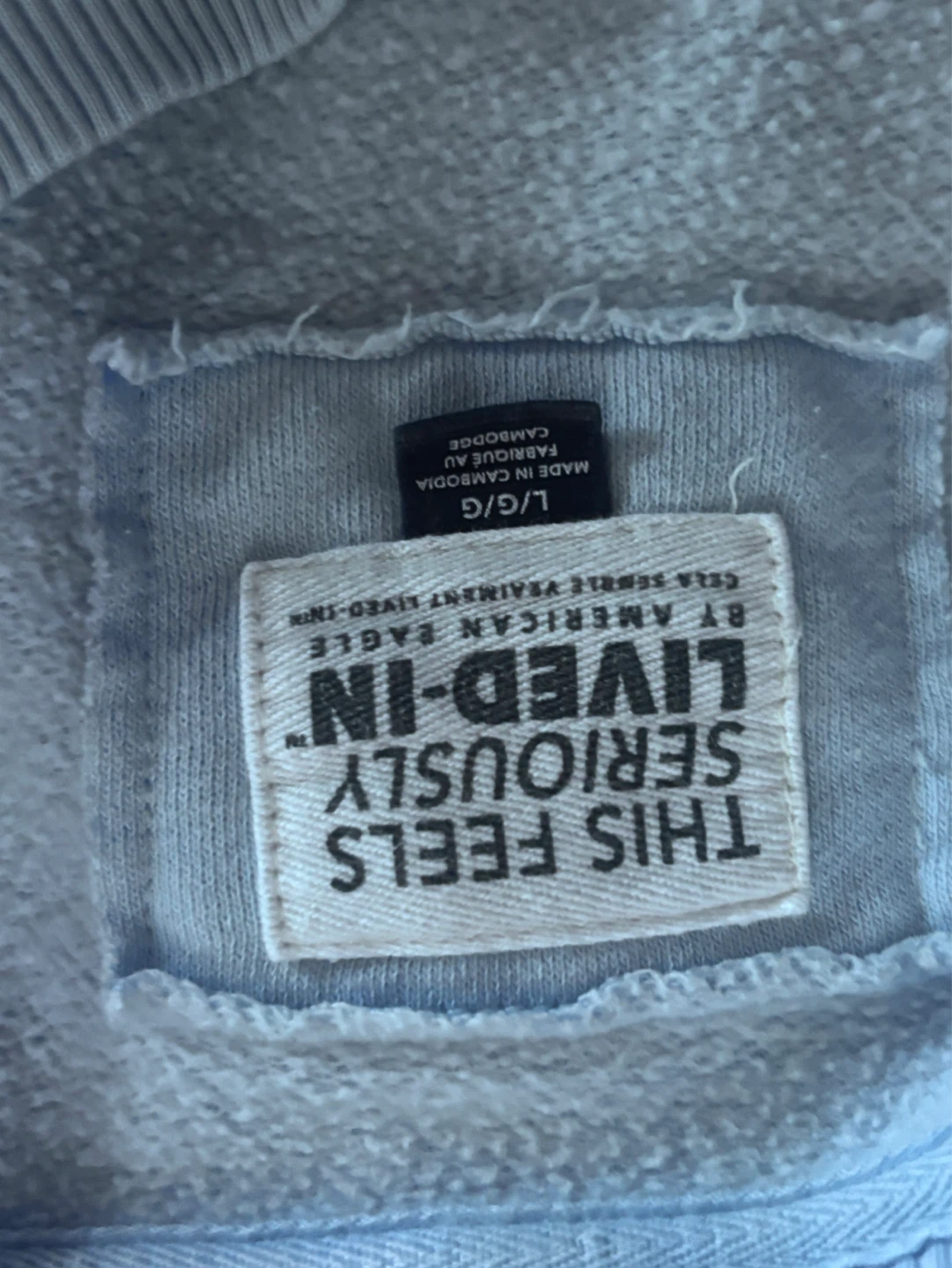 American Eagle Outfitters L/G Light Blue Pullover Sweatshirt - photo 2