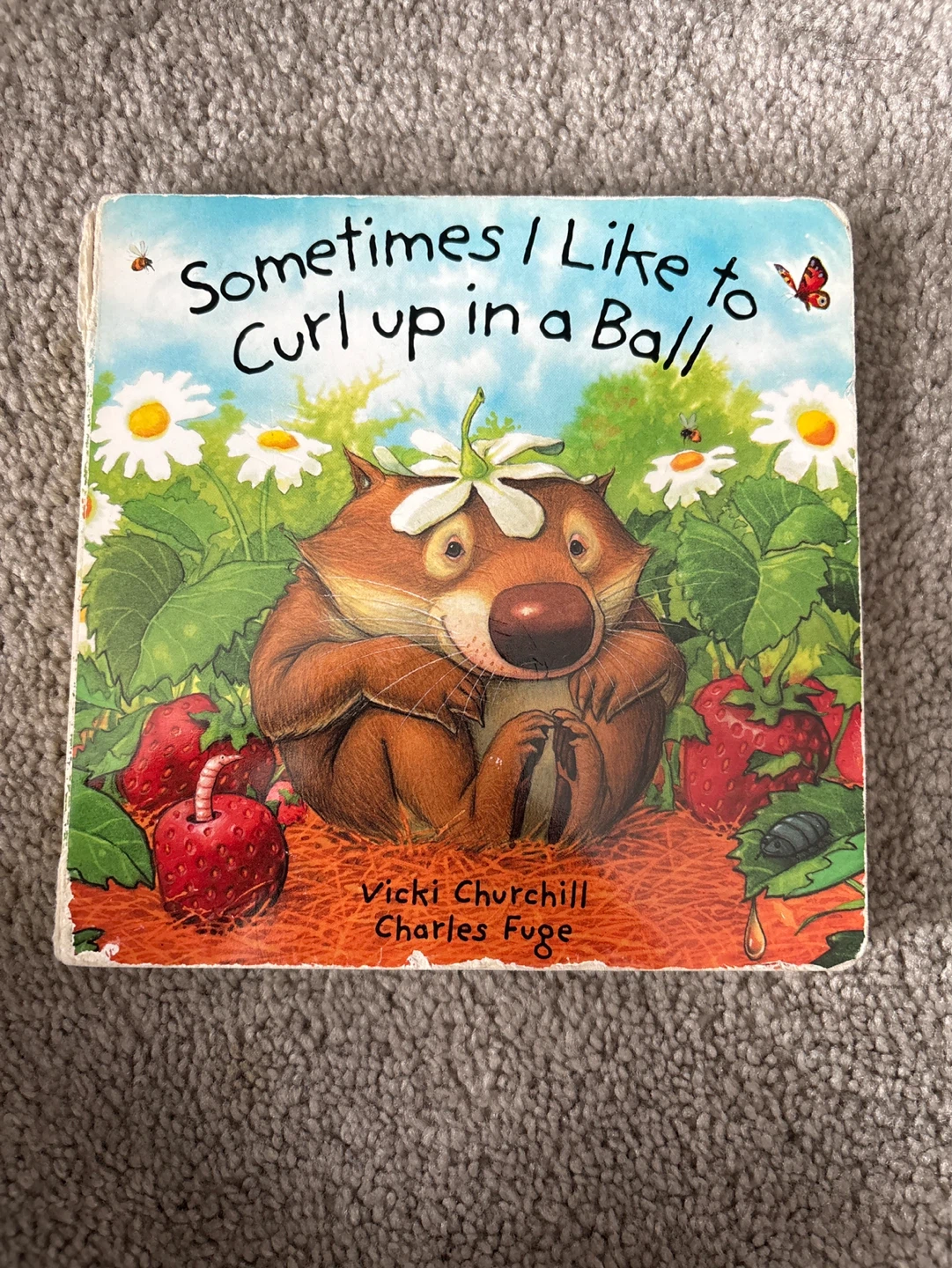 Sometimes I Like to Curl up in a Ball Children's Book