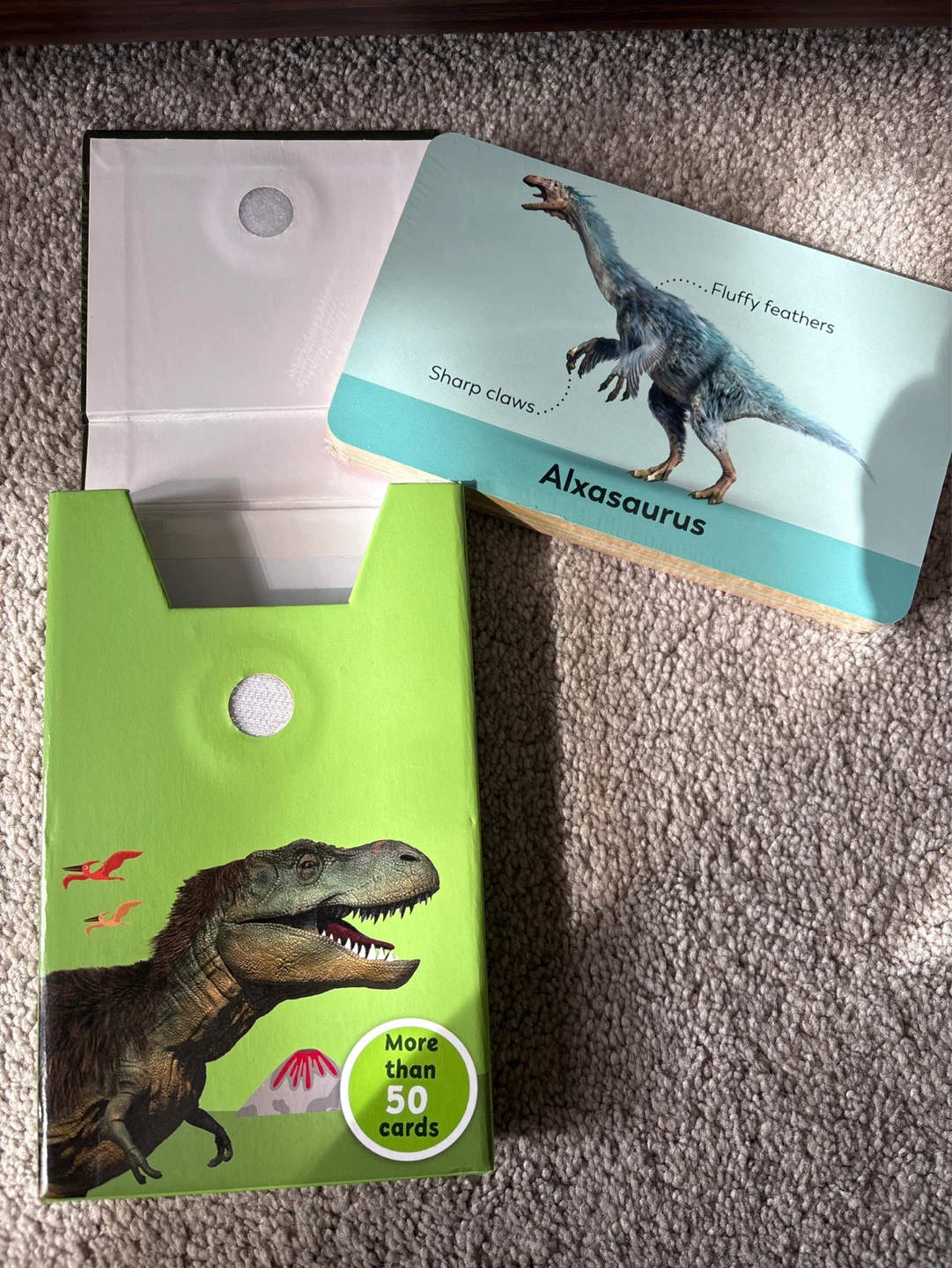 My First Dinosaur Flash Cards and Other Prehistoric Animals - photo 2