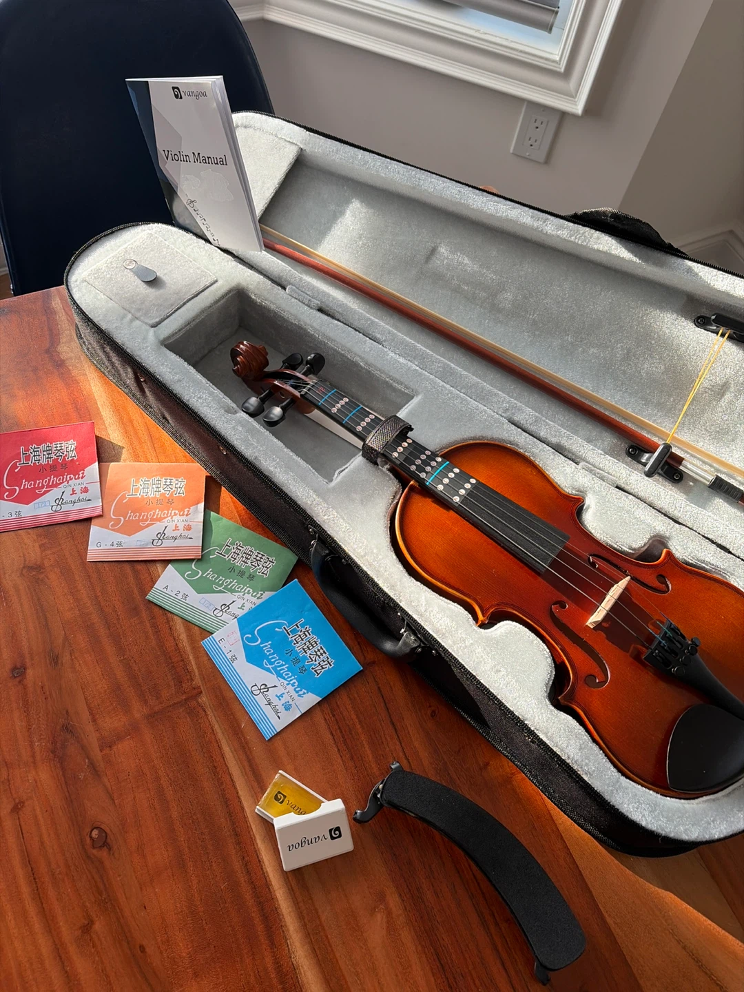 Vangoa Violin Kit with Case and Accessories