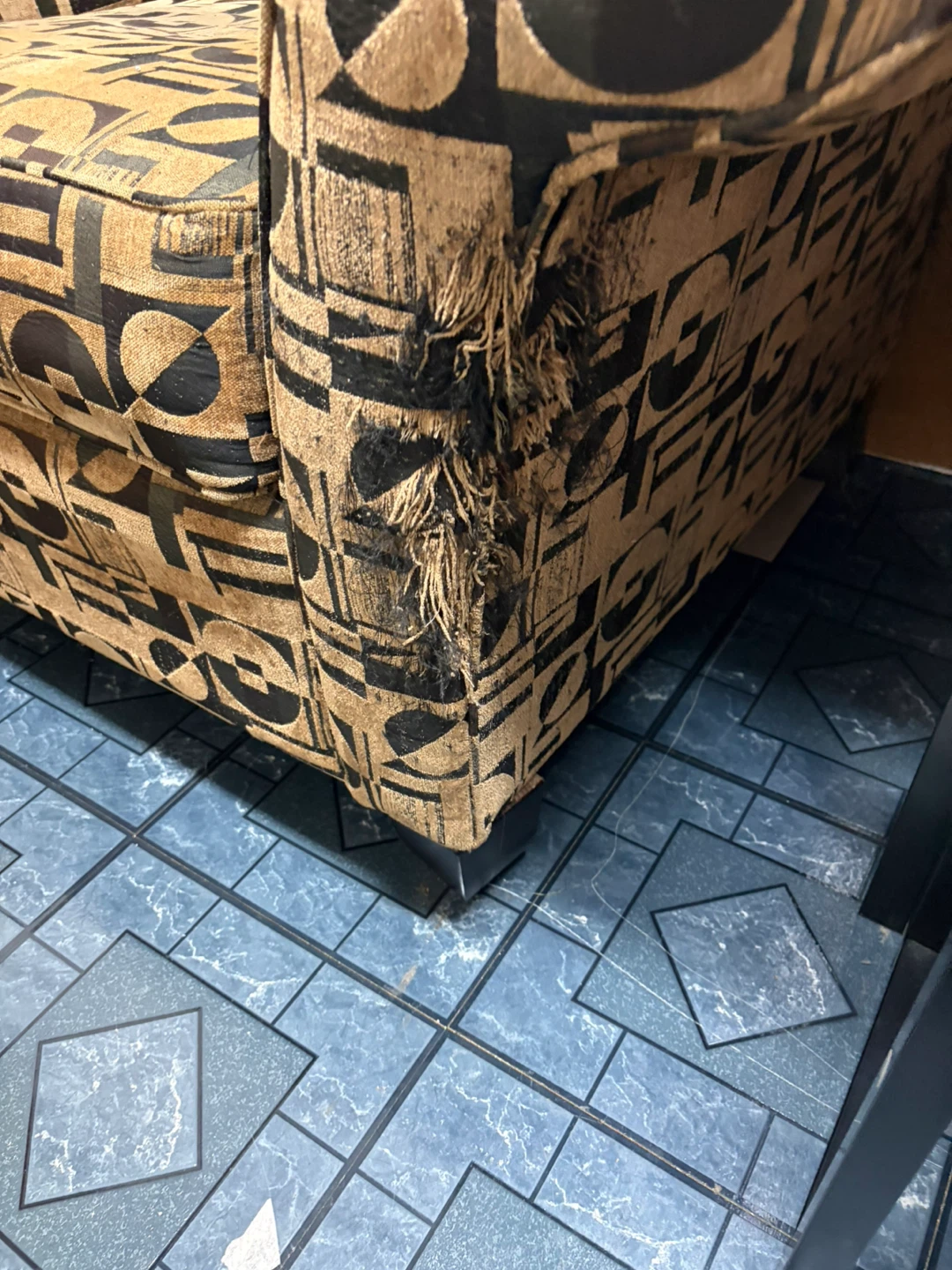 FREE Brown and Black Patterned Armchair - photo 2