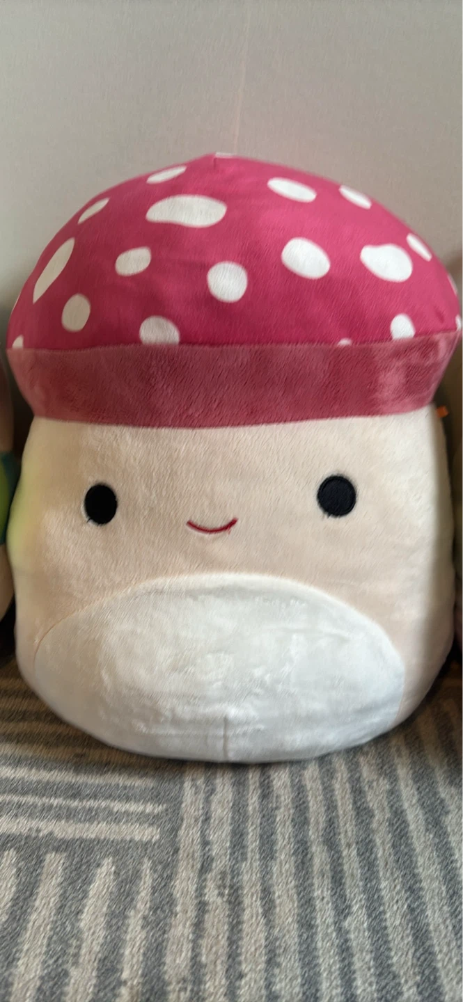 Squishmellows Toy Plush - photo 3