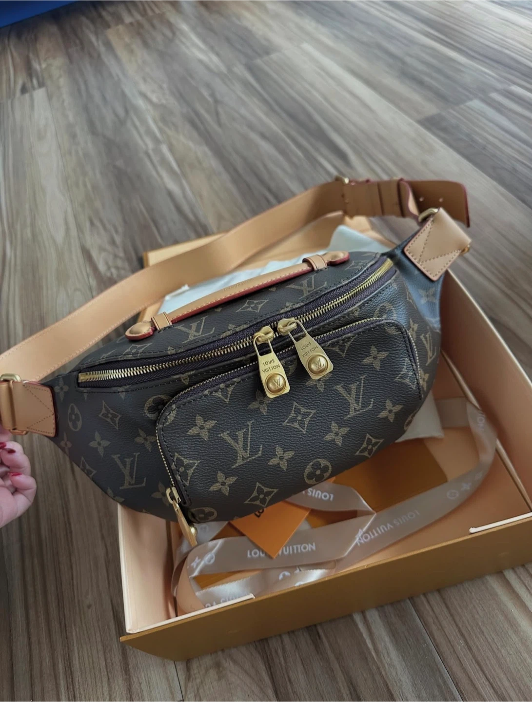 Louis Vuitton Monogram Bumbag