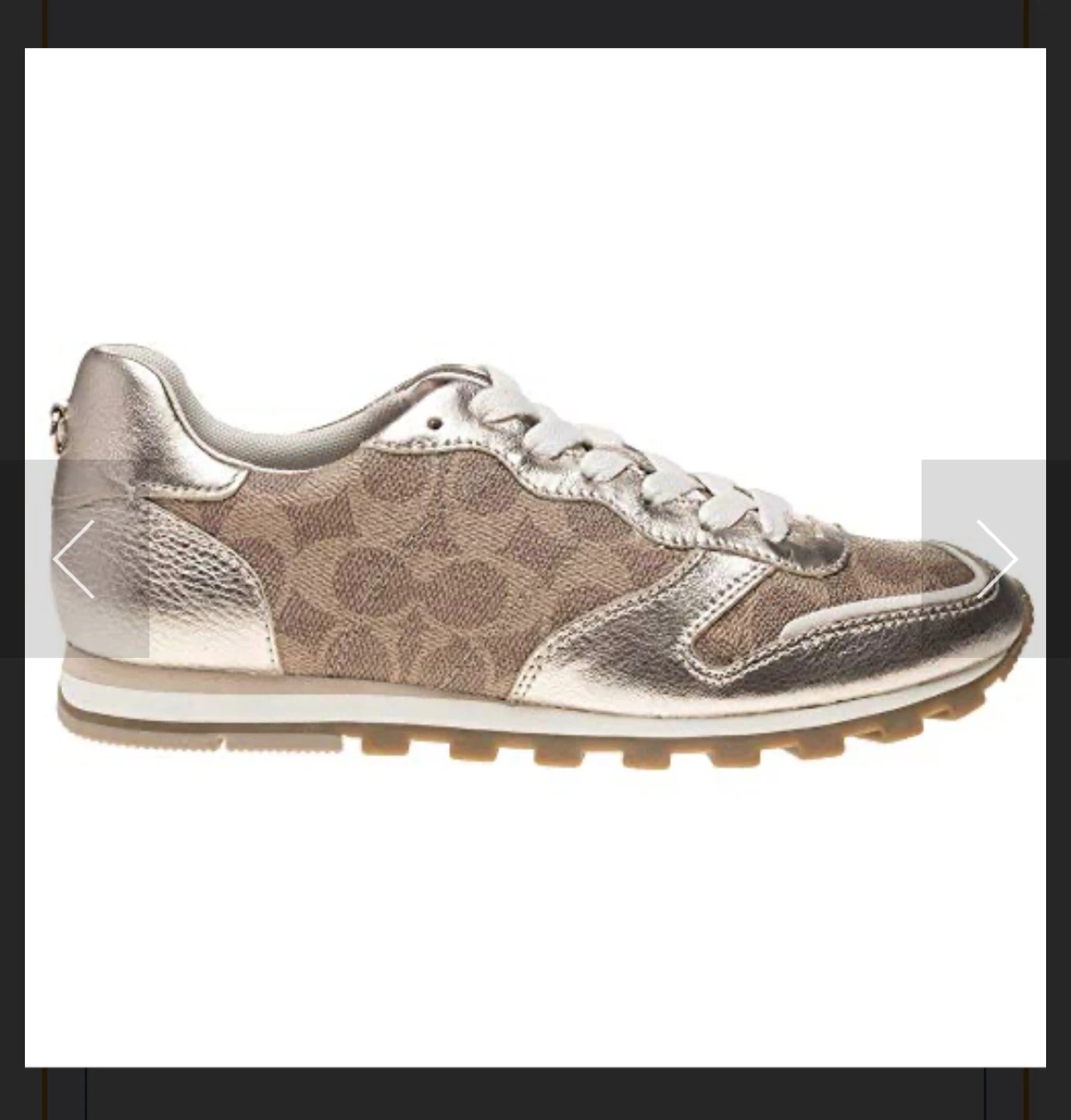 Coach Runner