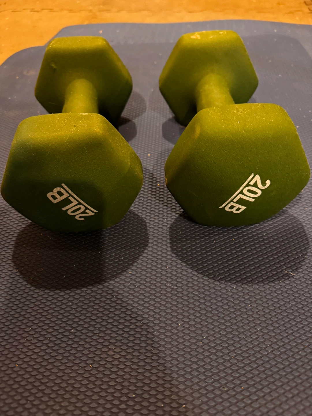 Green 20lb Dumbbells (Pair)