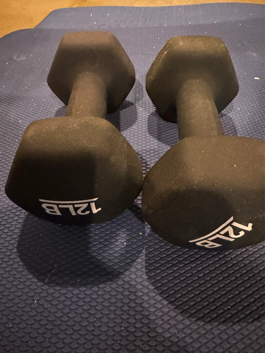 Pair of 12 LB Rubber Dumbbells