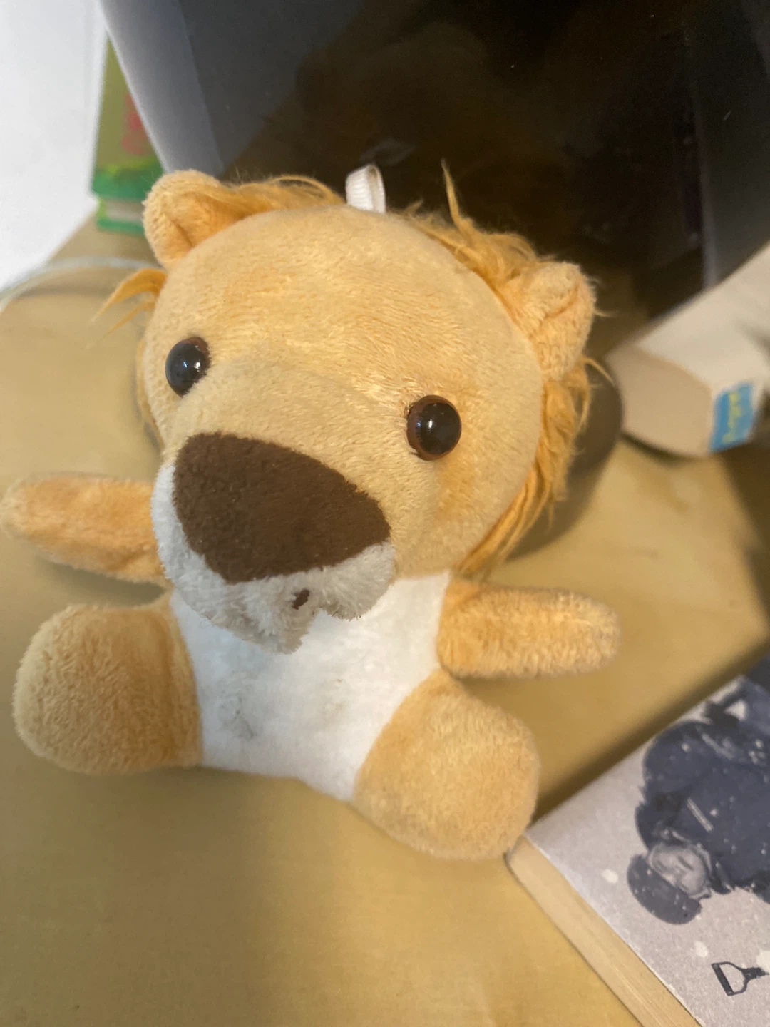 Small Stuffed Lion Plush Toy