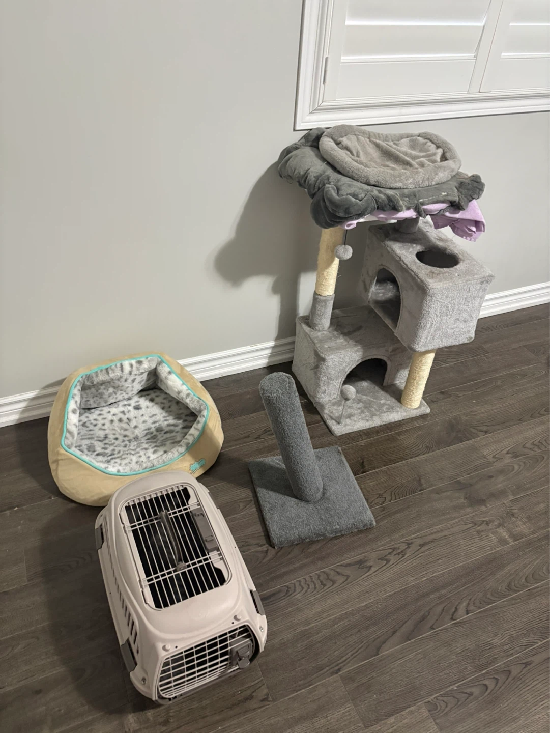 Cat Tree, Carrier, and Beds Bundle - photo 2