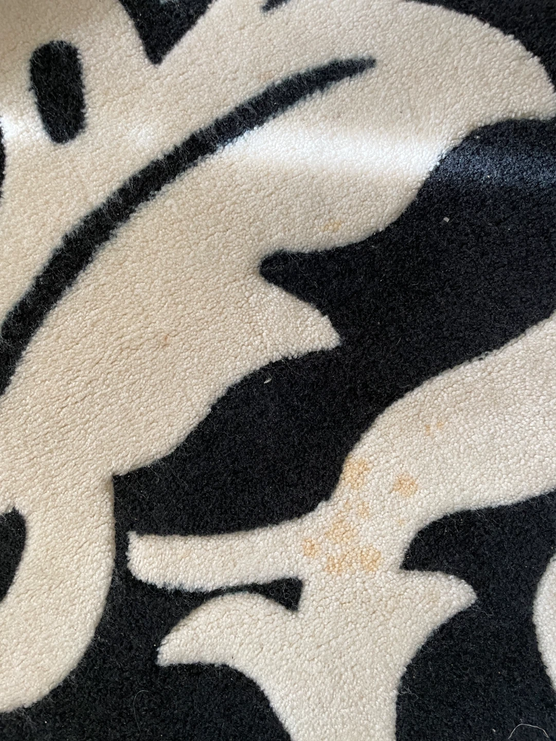 Black and White Damask Area Rug - photo 5