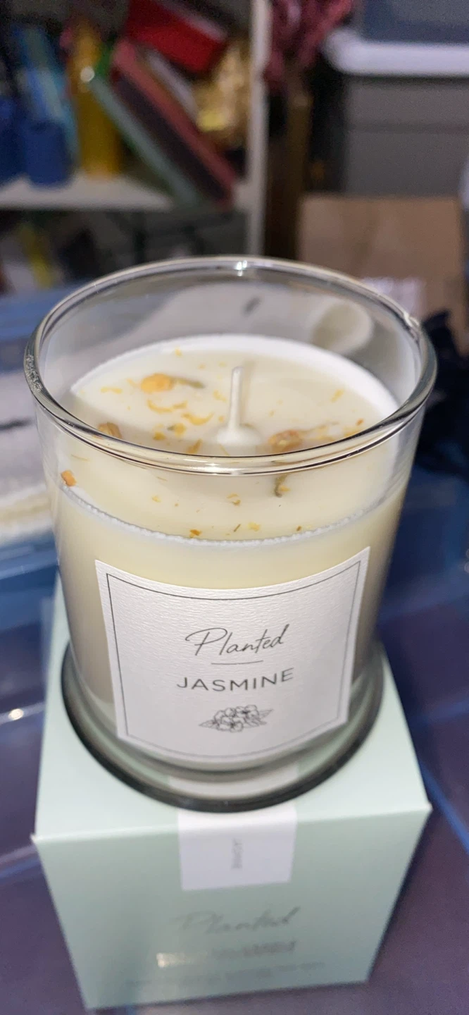 Planted Jasmine Botanical Candle - photo 2
