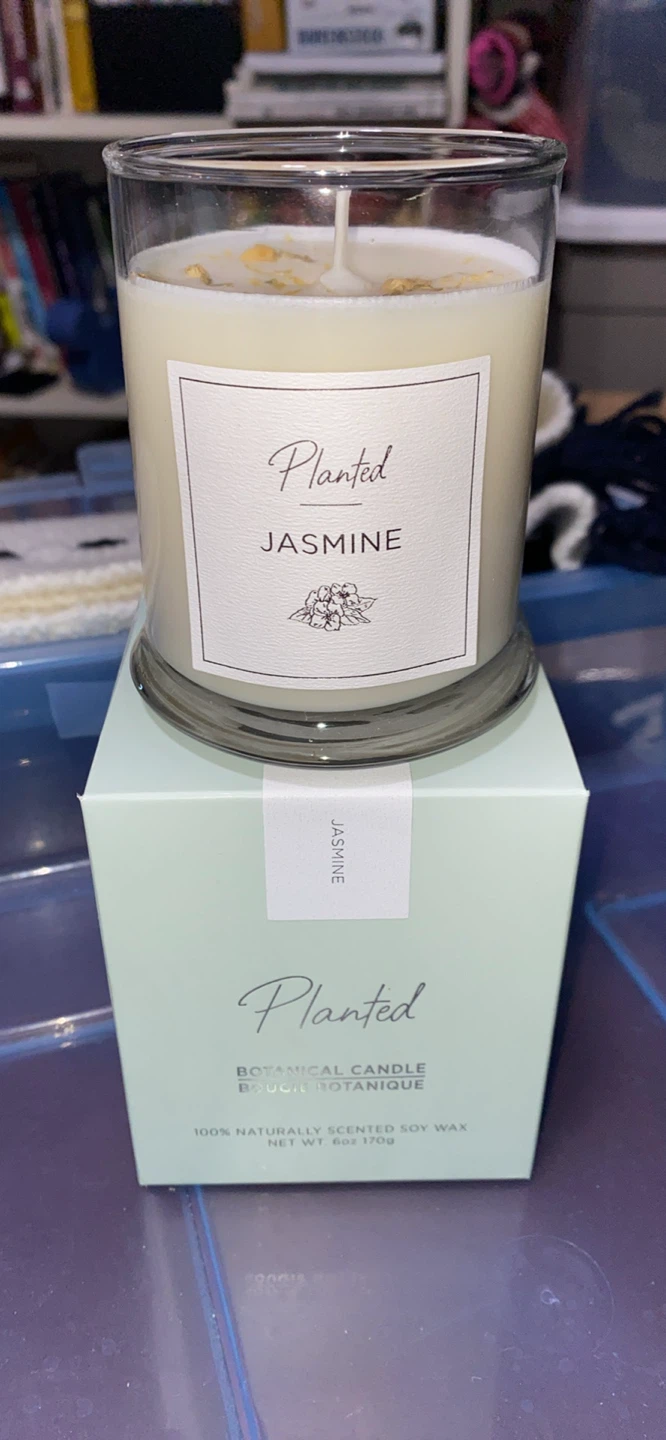 Planted Jasmine Botanical Candle