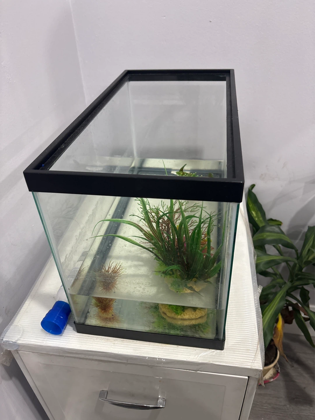Glass Aquarium Tank with Decorations - photo 2