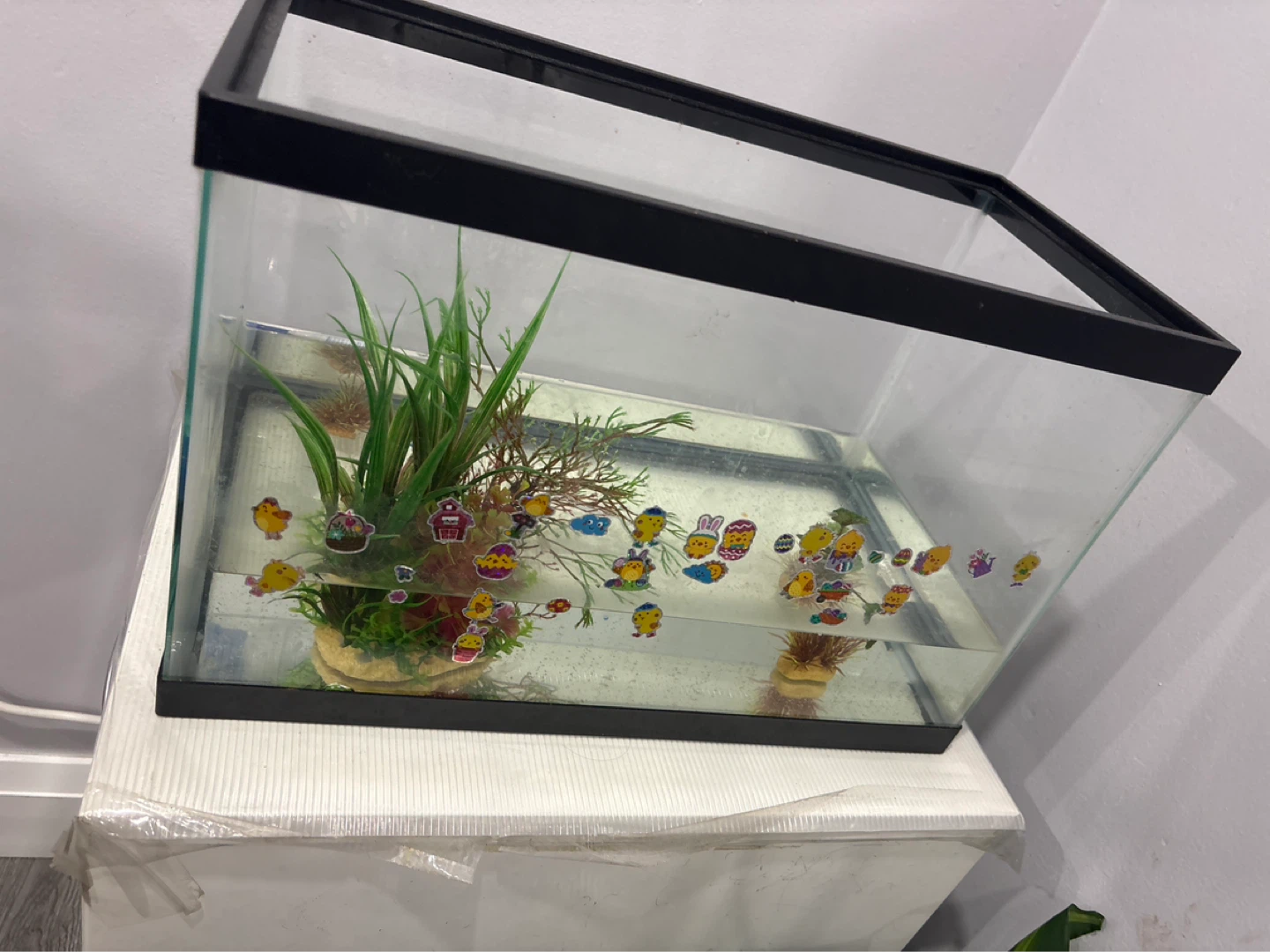 Glass Aquarium Tank with Decorations