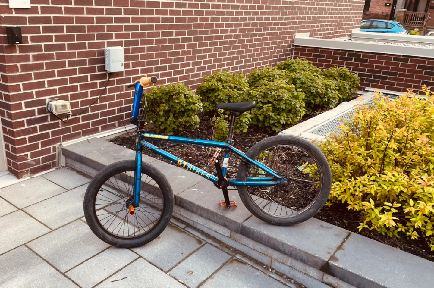 Pro BMX Bike