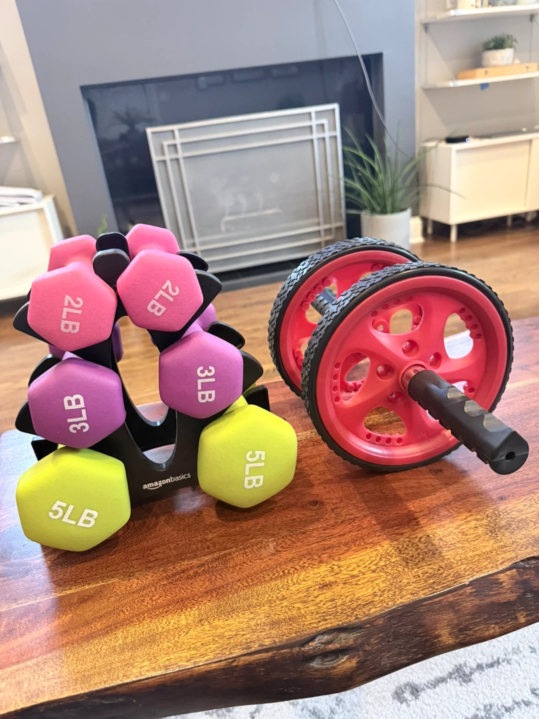Dumbbell Set + Ab Roller
