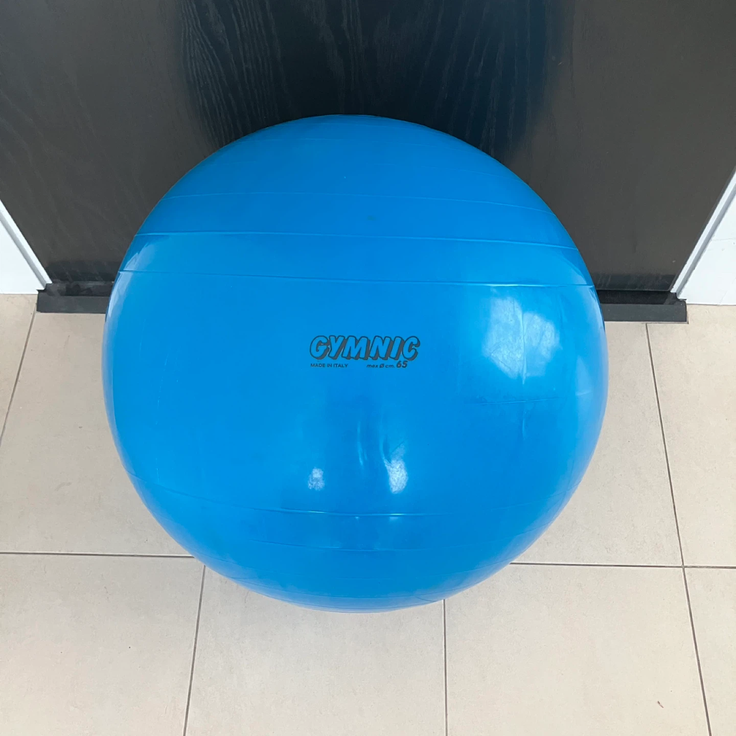 Exercise Ball