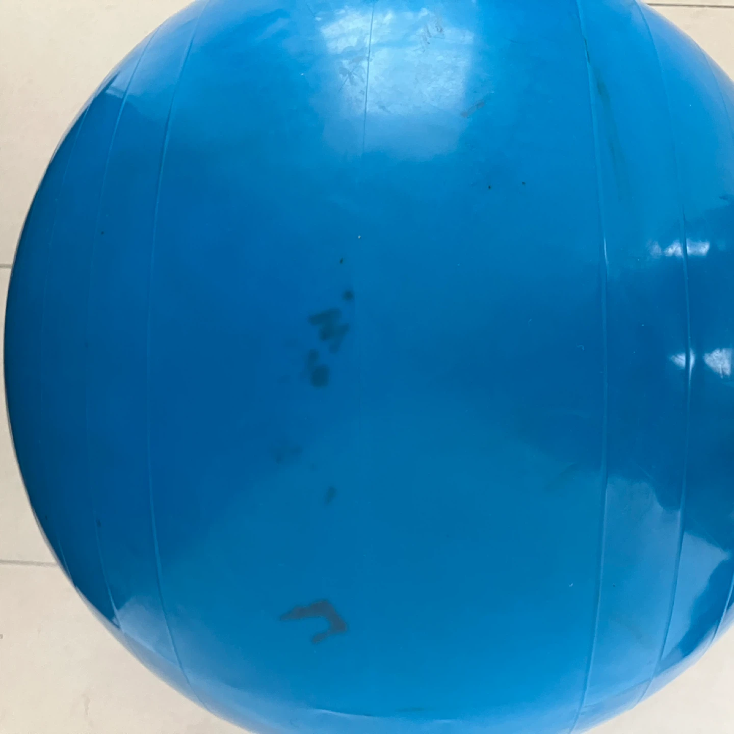Exercise Ball - photo 3