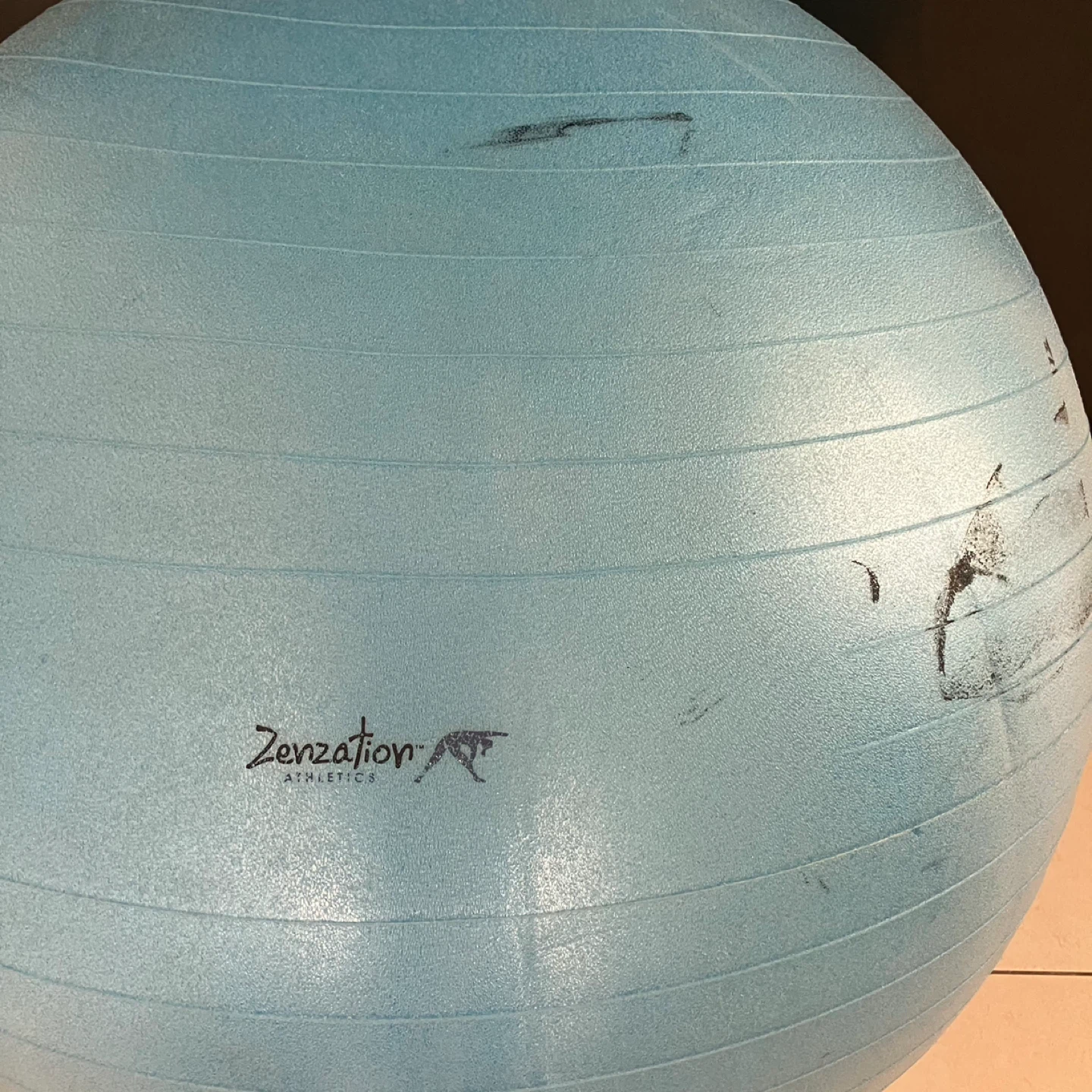 Exercise Ball - photo 2