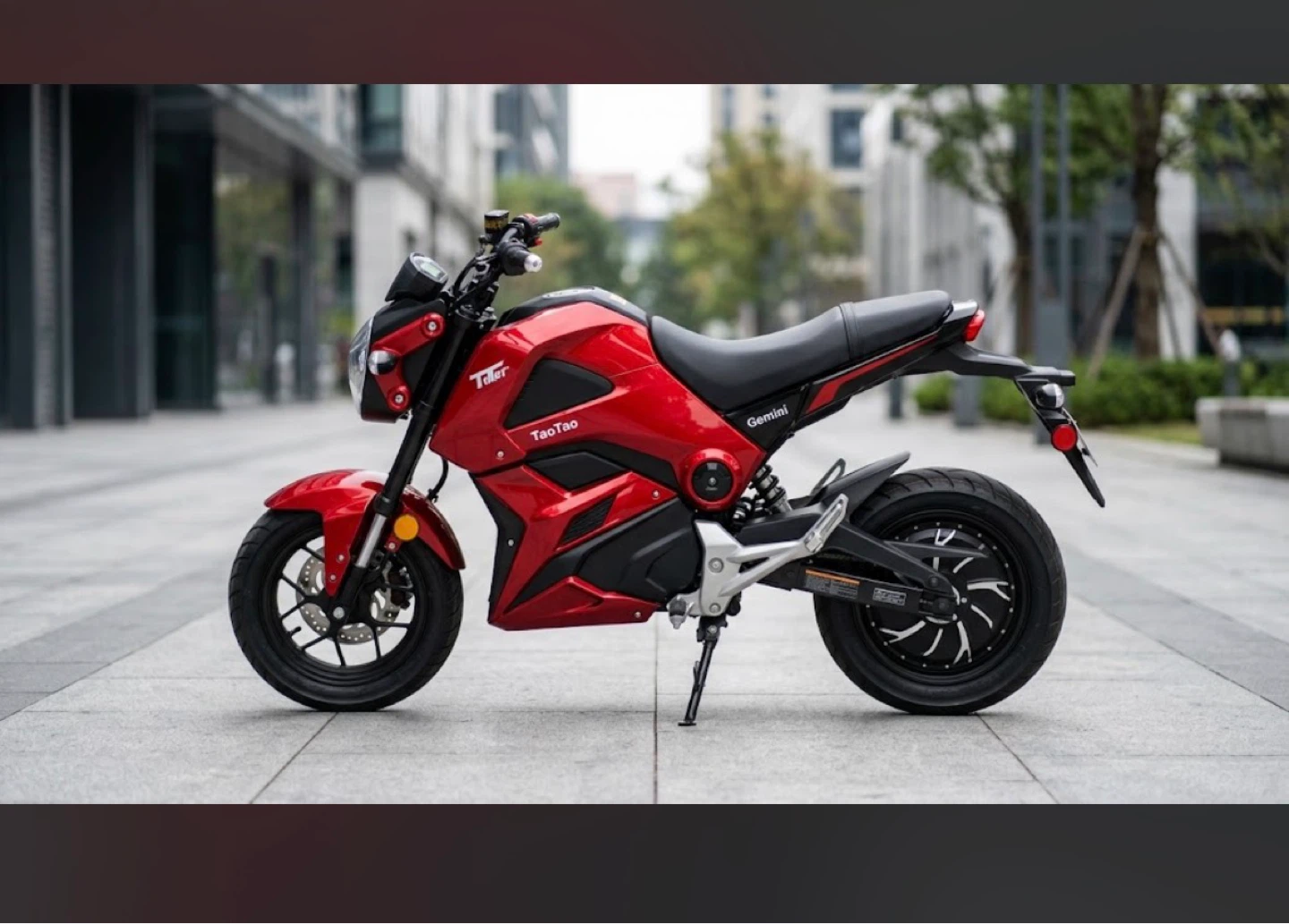 TaoTao Gemini Electric Motorcycle - photo 2